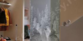 Стеклянные двери. Стекло матовое. Двери межкомнатные, межкомнатные раздвижные двери, Межкомнатные двери стекло. Производство дверей. не Пескоструй