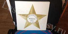 Керамогранит напольный для улицы: 300х300х7мм. Звезда. Школа. Выпускной.