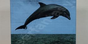 Гравирвка на граните. Дизайн интерьера бассейна. Дизайн бассейна в загородном доме