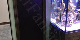 Стеклянная перегородка размером 470х1495х8мм с гравировкой в решении задачи благоустройства, удобства, уюта и красоты в интерьере дома.